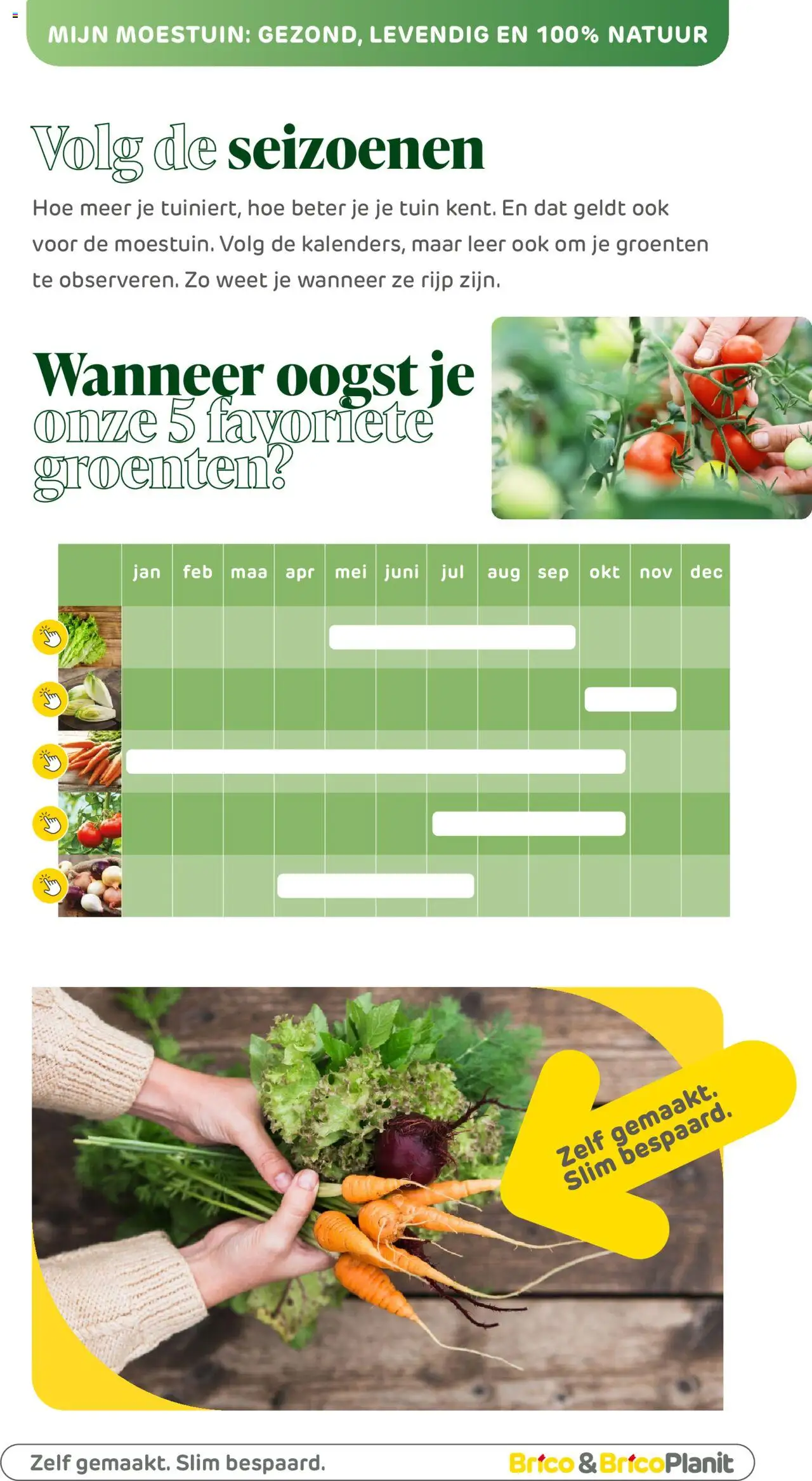  | Pagina: 183 | Producten: Groenten