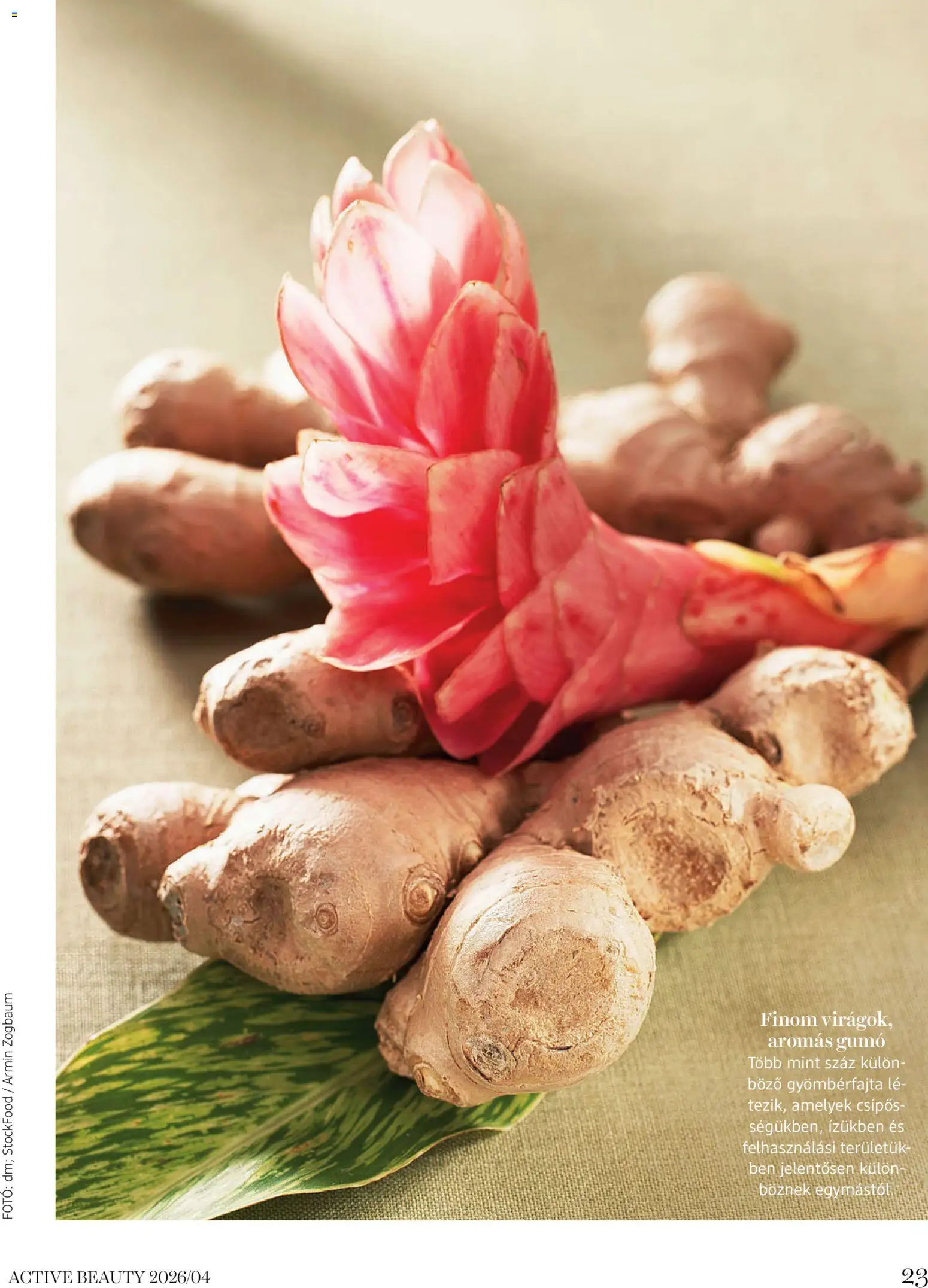 DM Drogerie Markt akciós ujság - amely érvényes a következő dátumtól: 09.04.2026 | Oldal: 23