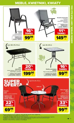 Pogląd oferty "Carrefour gazetka - Ogród" - ważna od 02.03.2026 | Strona: 13 | Produkty: Stół, Krzesło, Kwiaty, Stół ogrodowy