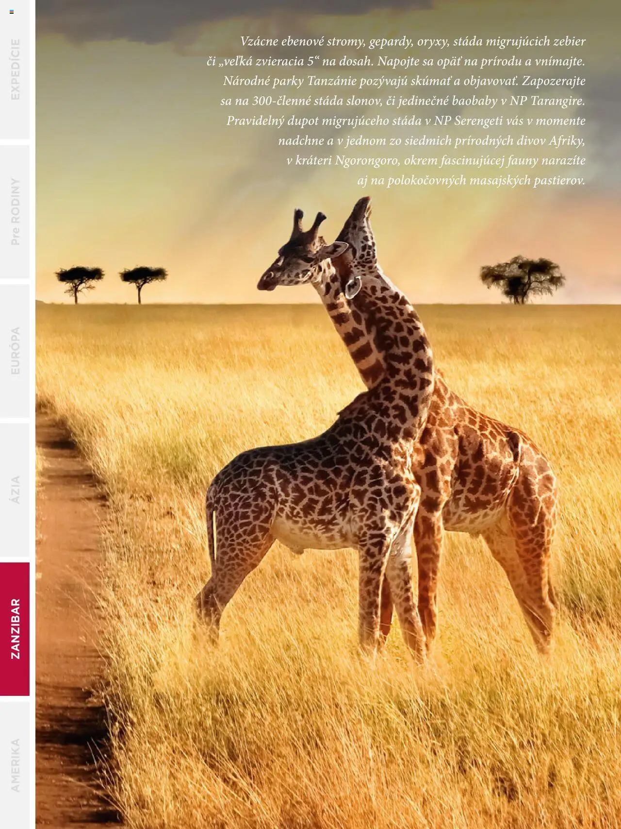 Nové Satur akcie – leták je platný od 24.09.2024 | Strana: 242