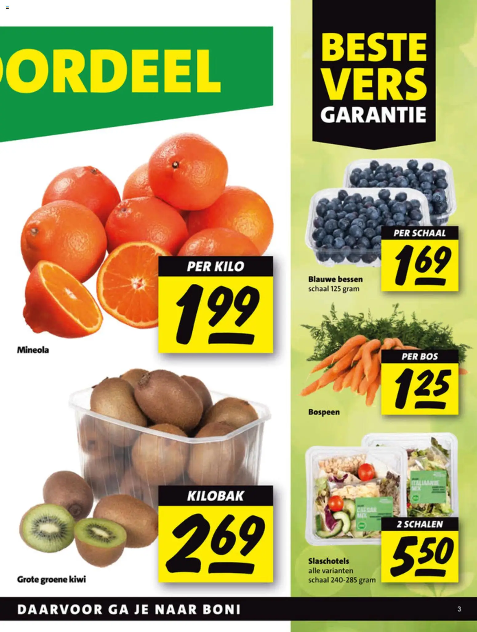 {H1} | Pagina: 3 | Producten: Kiwi, Schaal