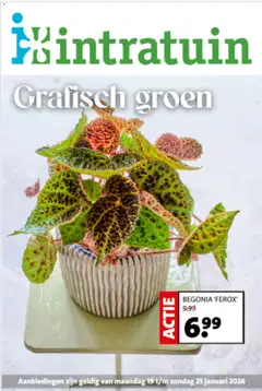 Intratuin - Folder - Voorbeeld van een folder van Intratuin, geldig van 19.01.2026