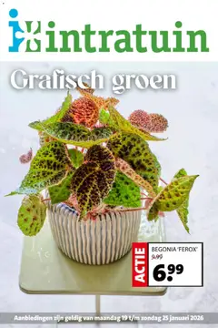 Intratuin - Folder - Voorbeeld van een folder van Intratuin, geldig van 19.01.2026