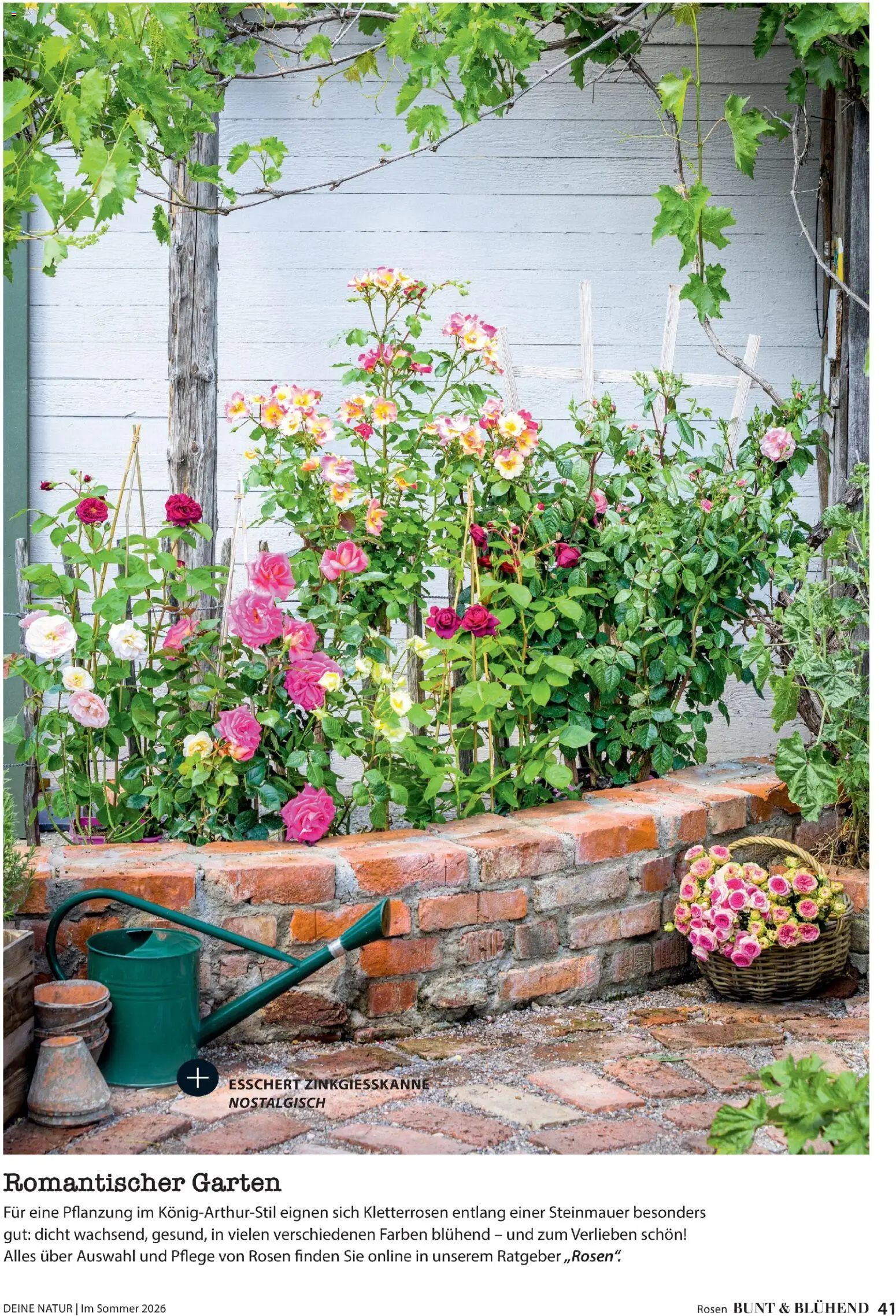 Dehner Prospekt 	 – gültig ab 17.04.2026 | Seite: 41