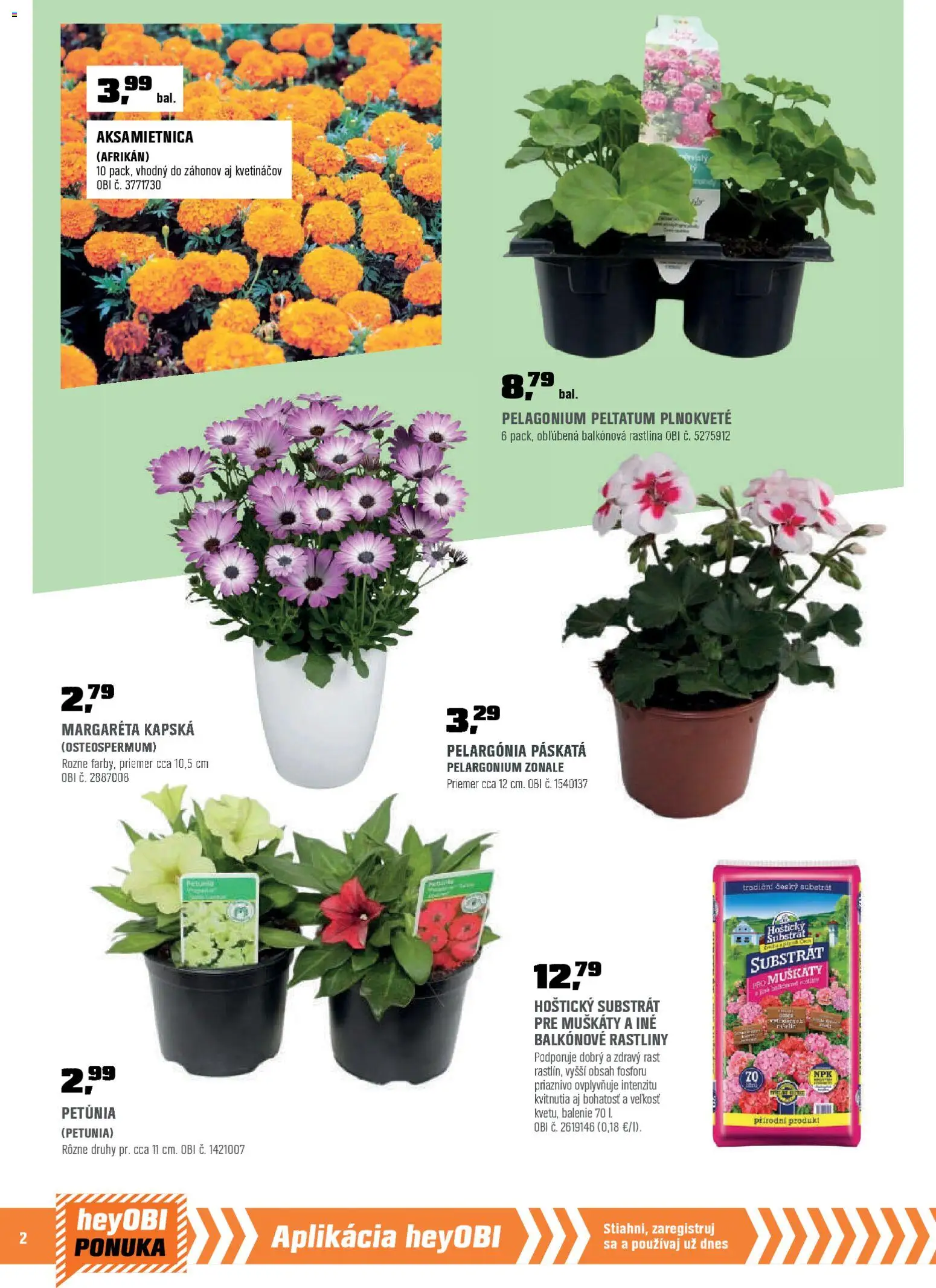 Nové OBI akcie – leták je platný od 01.04.2026 | Strana: 4 | Produkty: Ríbezle, Paprika