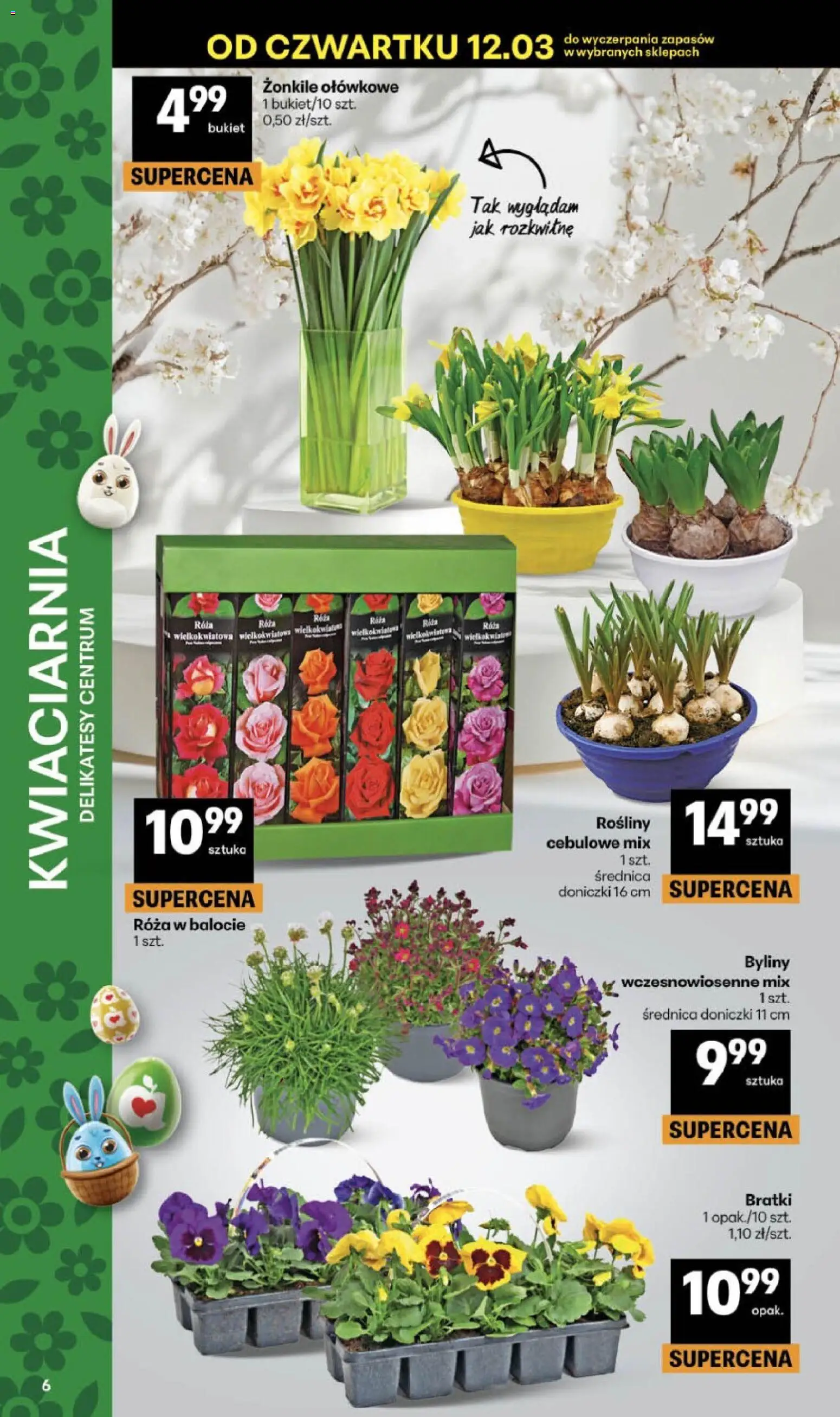 Delikatesy Centrum gazetka od 12.03.2026 | Strona: 6 | Produkty: Bratki, Delikatesy, Rosliny, Doniczki
