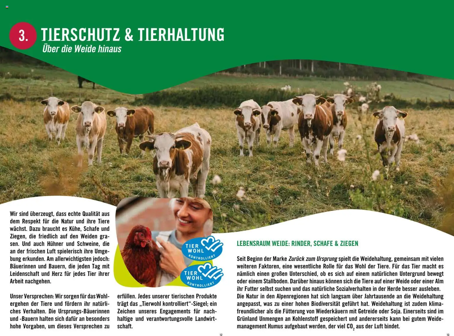 Hofer Alles über die nachhaltige Bio-Eigenmarke  gültig ab 20.02.2026 | Seite: 7 | Produkte: Getreide