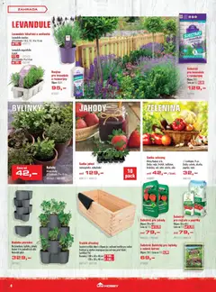 Náhled letáku Uni Hobby leták od 02.04.2026 | Strana: 4 | Produkty: Rajčata, Jahody, Hnojivo, Květináč