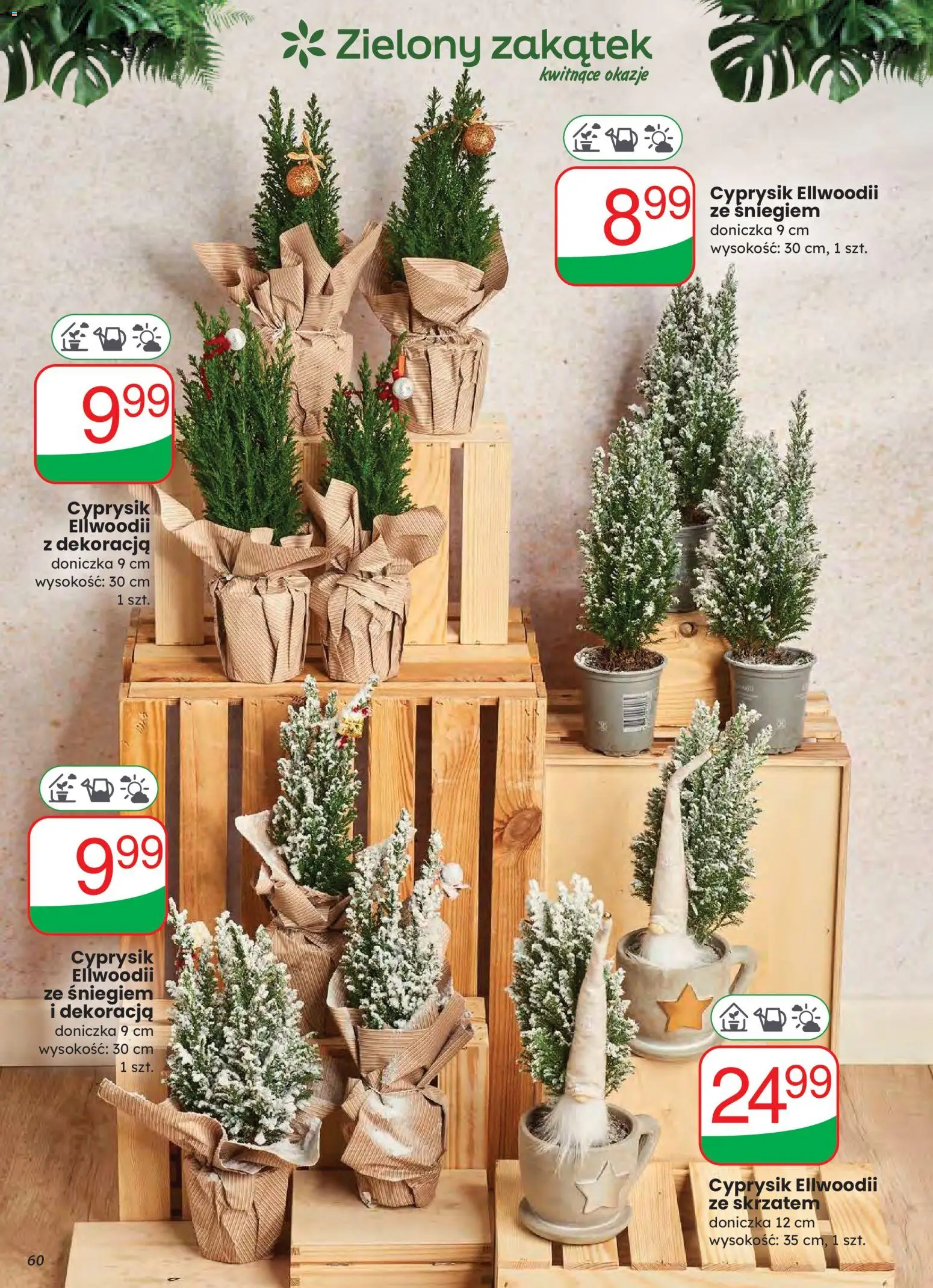 Dino Gazetka od 03.12.2025 | Strona: 60