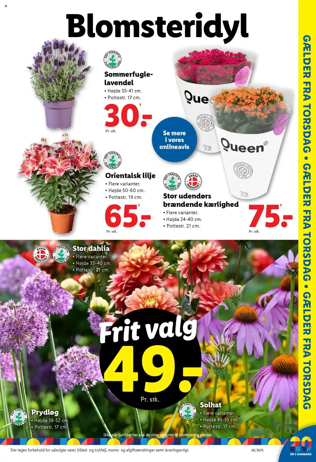 Lidl Tilbudsavis gyldig fra 26.06.2025 | Side: 13