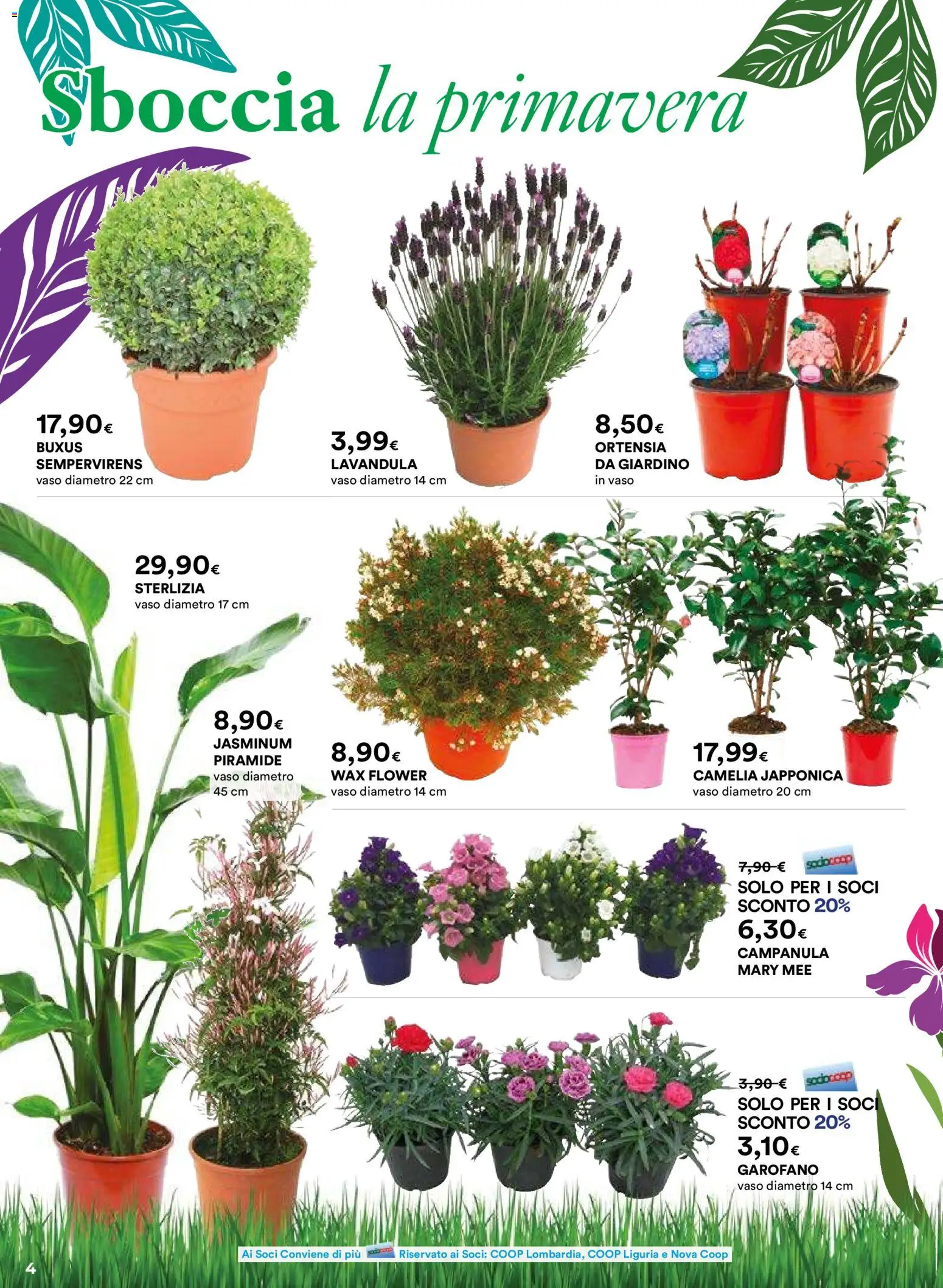 Volantino Ipercoop del 26.02.2026 | Pagina: 4 | Prodotti: Vaso
