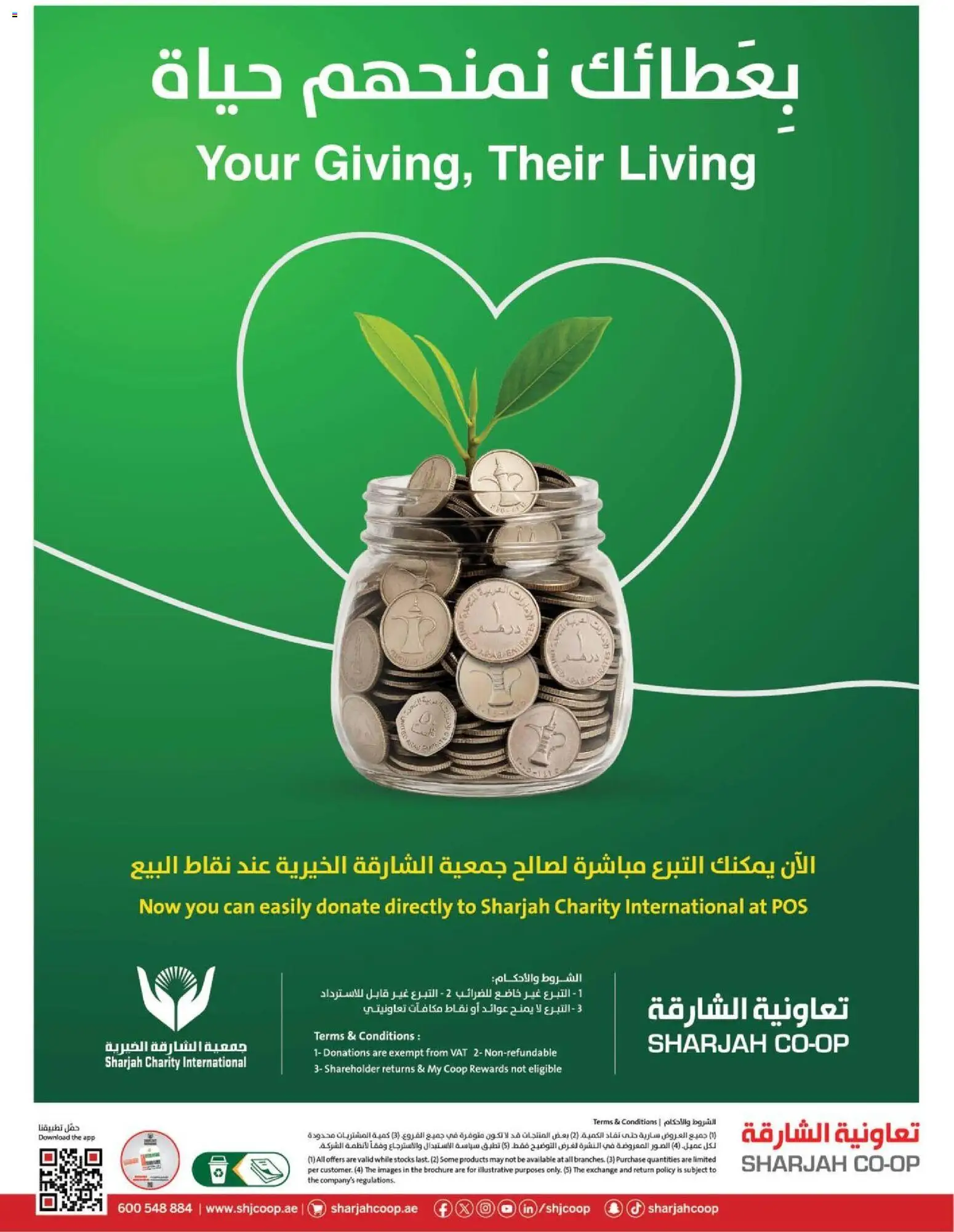 {H1} | Page: 48 | Products: Olio