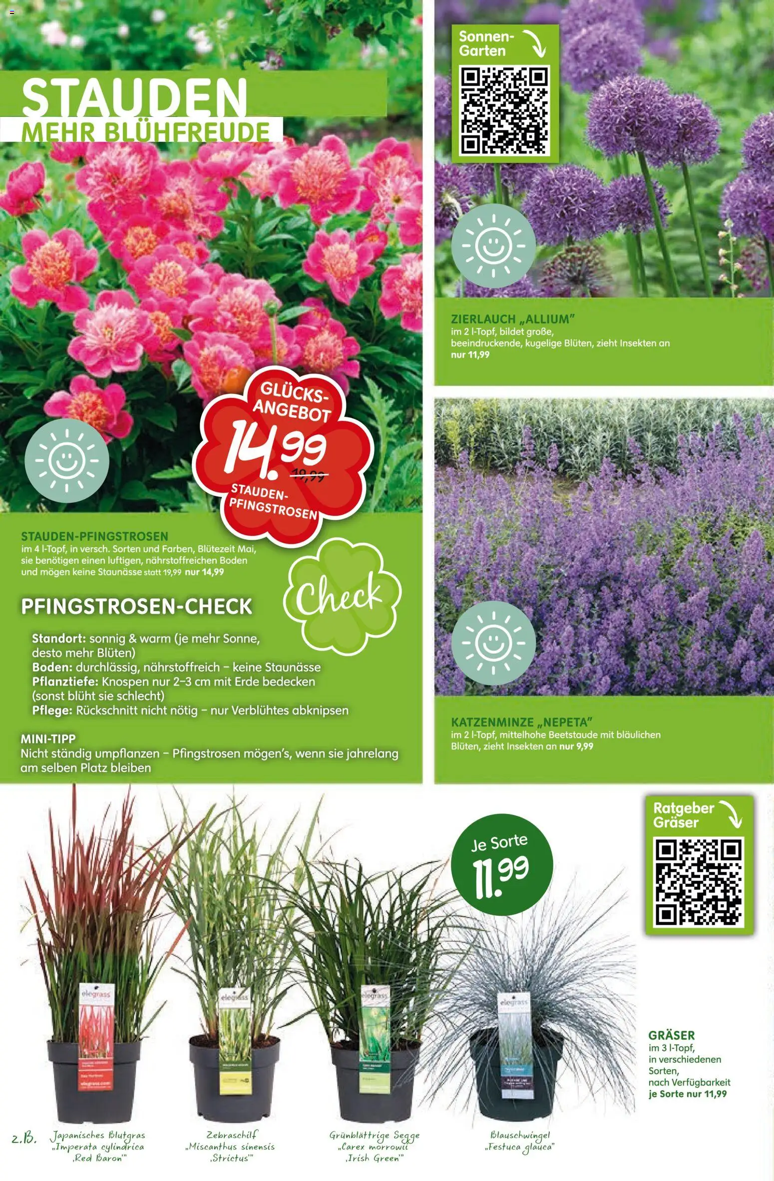 Blumen Risse Prospekt 	 – gültig ab 16.04.2026 | Seite: 10