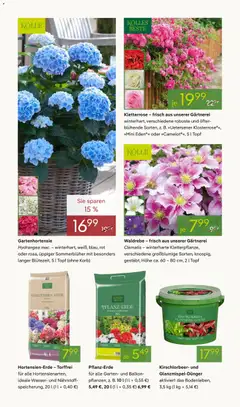 Pflanzen-Kölle Prospekt 	 ab 07.04.2026 gültig | Seite: 6 | Produkte: Pflanzerde, Korb, Wasser