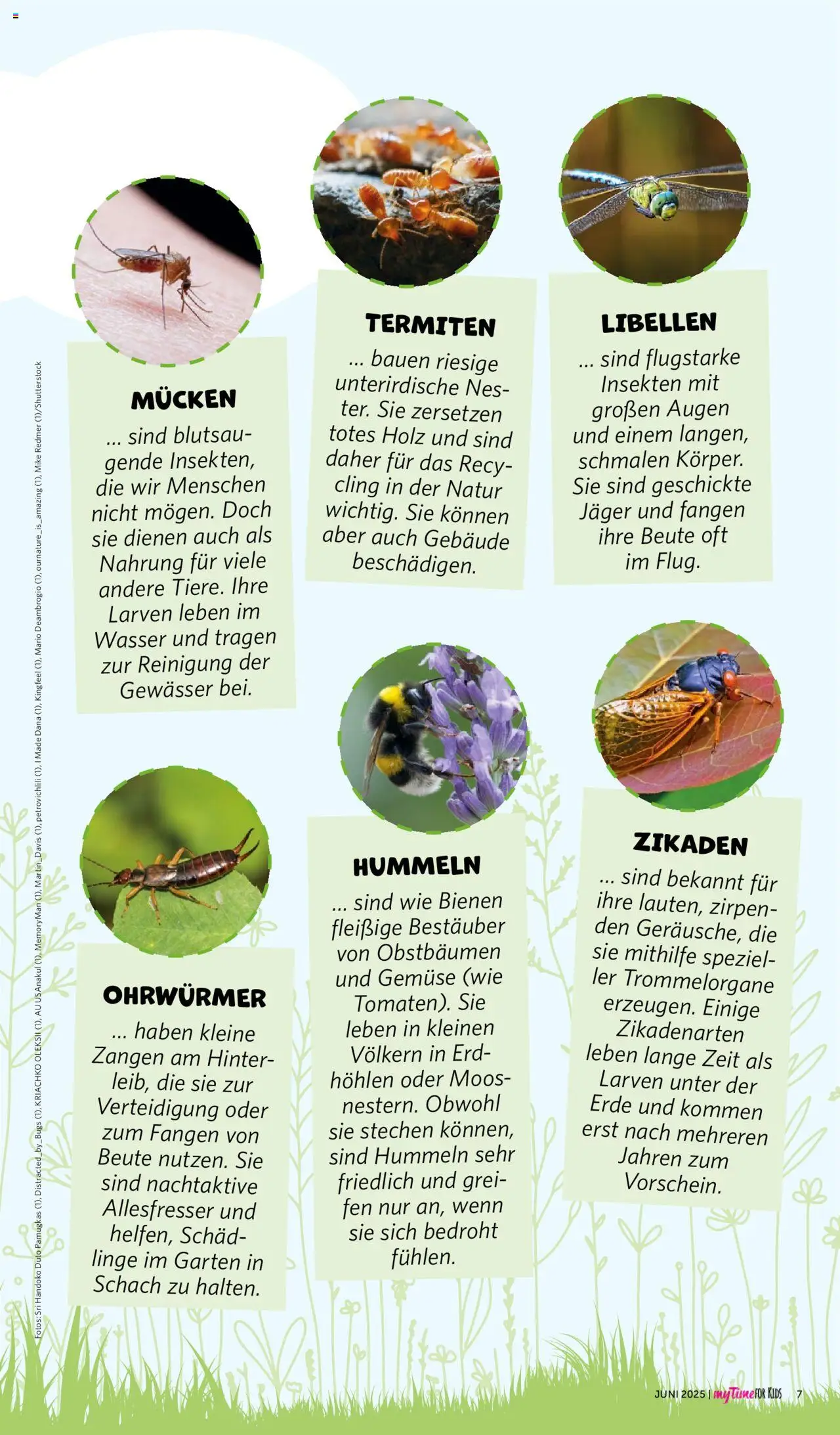 Combi - myTime Juni 2025 - gültig ab dem 01.06.2025 | Seite: 83 | Produkte: Wasser, Gemüse