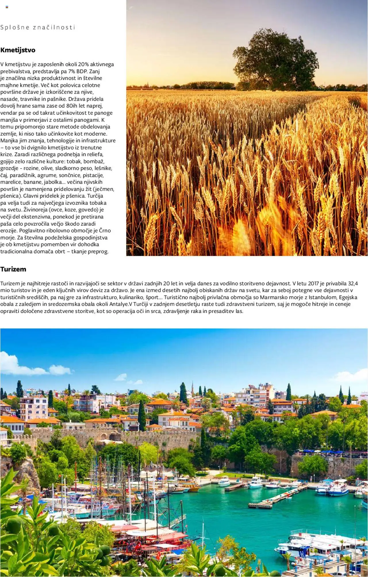 Kompas katalog mediteran │ velja od 11.01.2024 | Stran: 145 | Izdelki: Grozdje, Jabolka