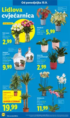 Lidl katalog | vrijedi od 15.09.2025 | Stranica: 60