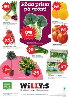 GRÖN ZUCCHINI, SPANIEN • NEDERLÄNDERNA, Klass 1 • Jämförpris 27:73 kr/kg - Förhandsvisning av reklamblad från butik Willys aktuell från 20.04.2026 | Sida: 12 | Produkter: Galler, Sallad, Broccoli, Zucchini