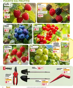 Anteprima del volantino Iperal volantino Giardino valido a partire dal 18.03.2026 | Pagina: 2 | Prodotti: Concime, Agrumi, Lampone, Vanga