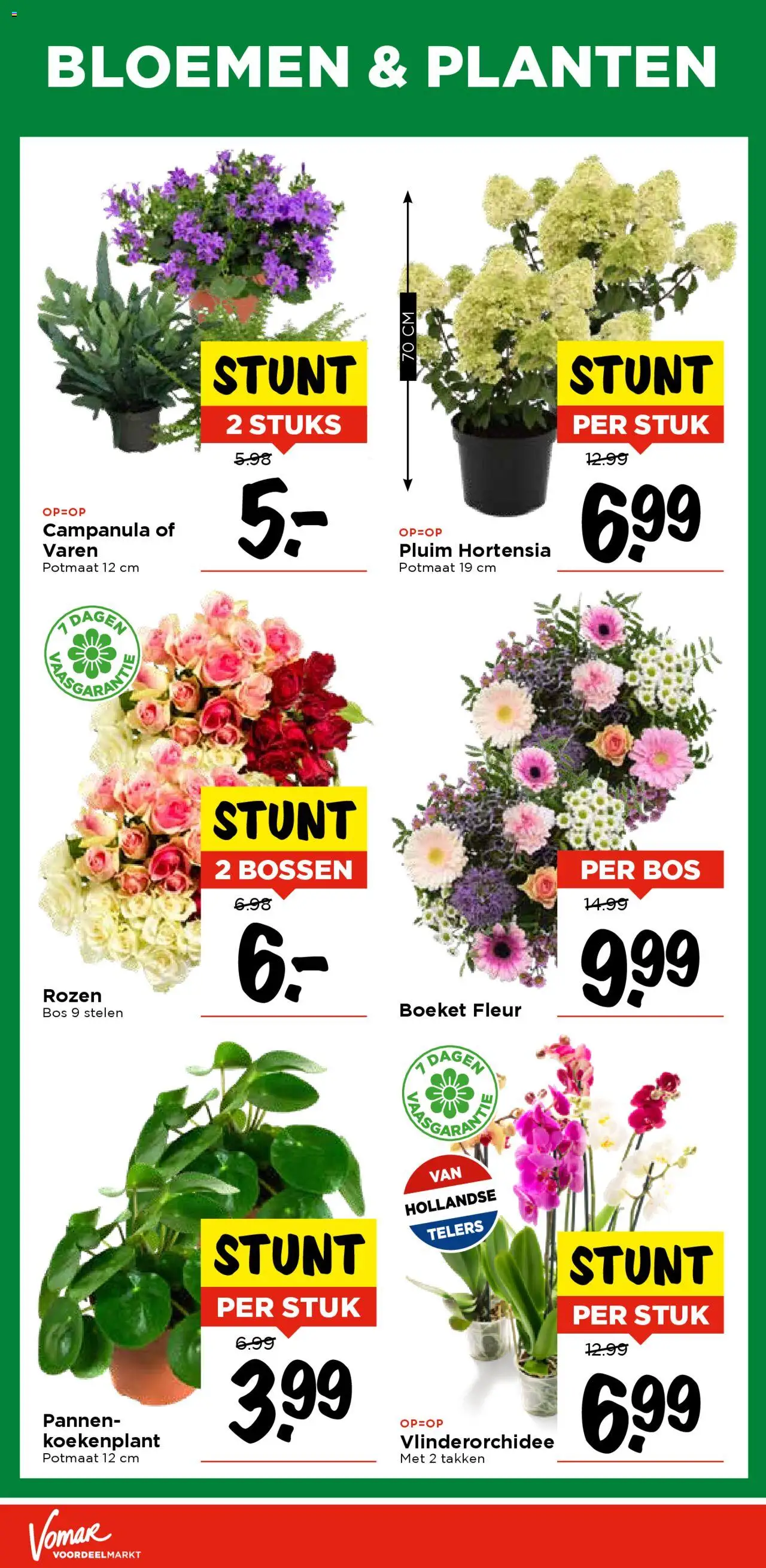  | Pagina: 30 | Producten: Livre pour enfants, Bloemen