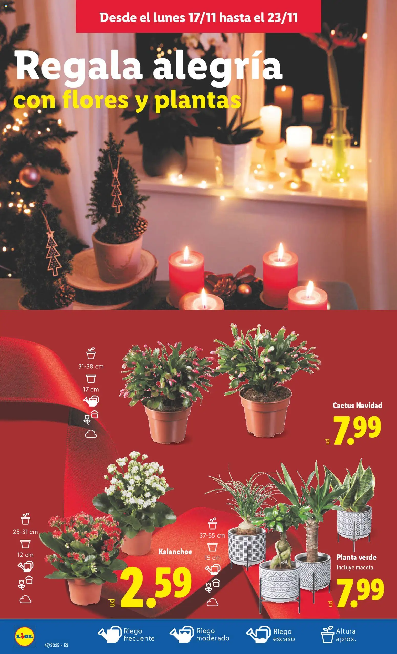 Lidl folleto │ válido desde el 17.11.2025 | Página: 50