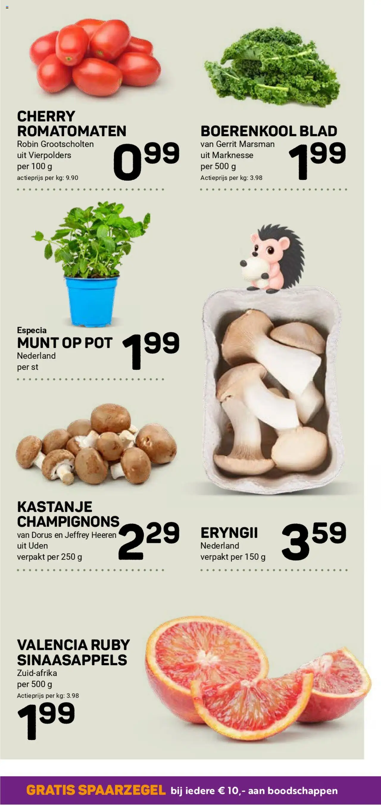 {H1} | Pagina: 14 | Producten: Munt, Boerenkool, Sinaasappels, Pot