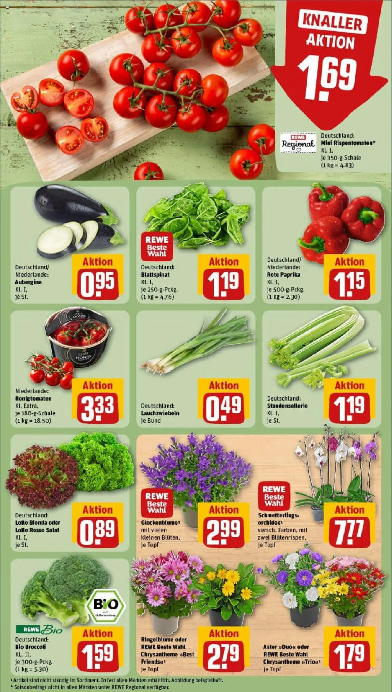 Rewe prospekt Leinefelde-Worbis	 - gültig ab dem 11.08.2025 | Seite: 7 | Produkte: Paprika, Aubergine, Salat
