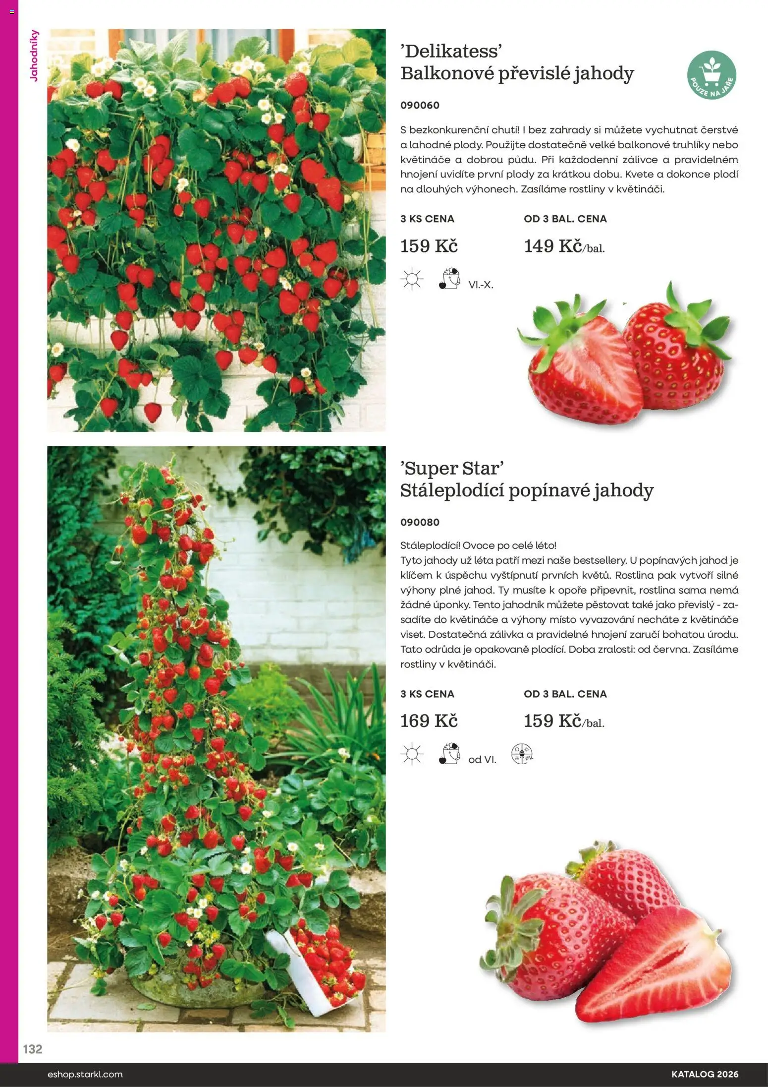 Starkl katalog od 25.02.2026 | Strana: 132 | Produkty: Truhlíky, Květináče, Jahody, Rostliny