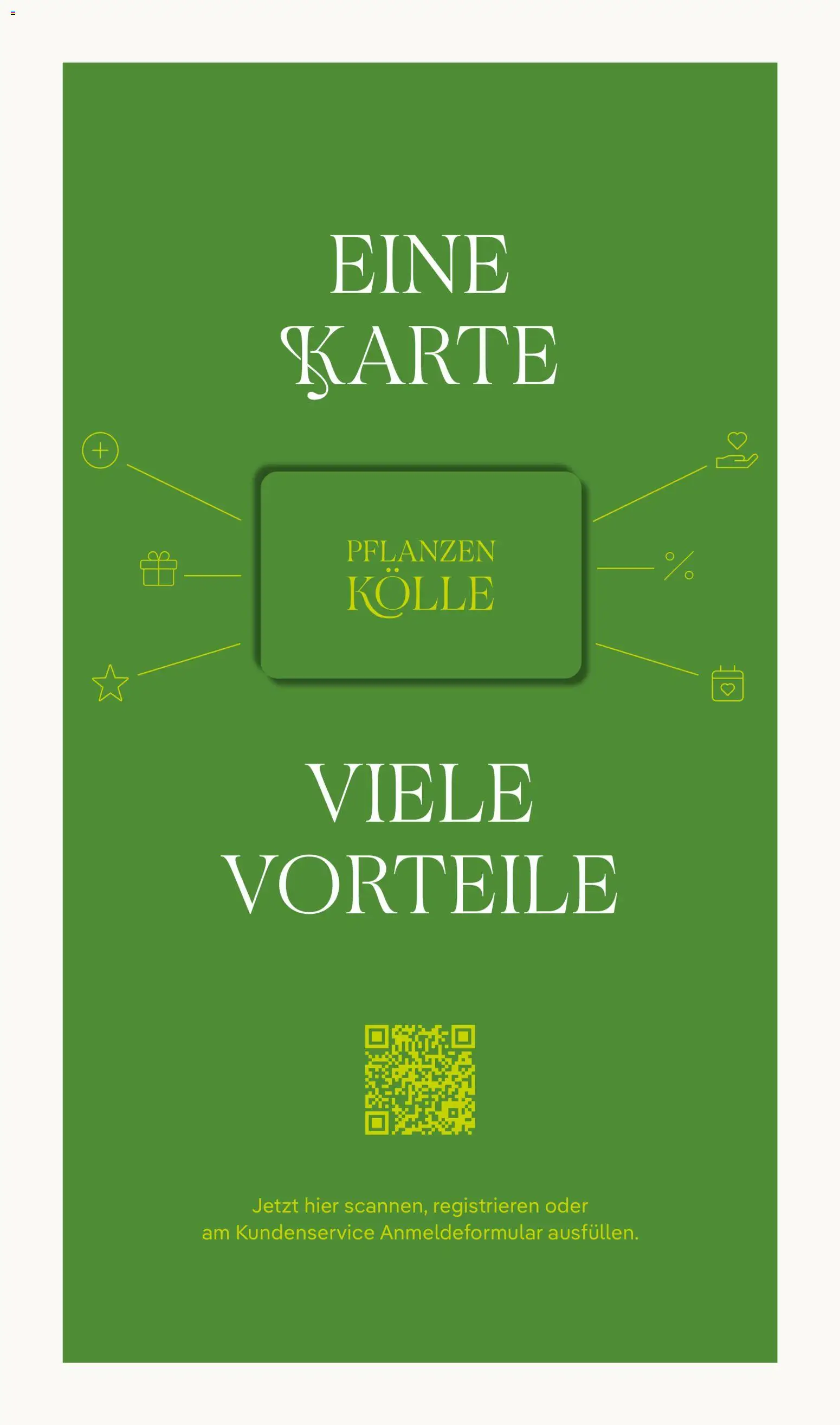 Pflanzen-Kölle Prospekt 	 – gültig ab 02.03.2026 | Seite: 19
