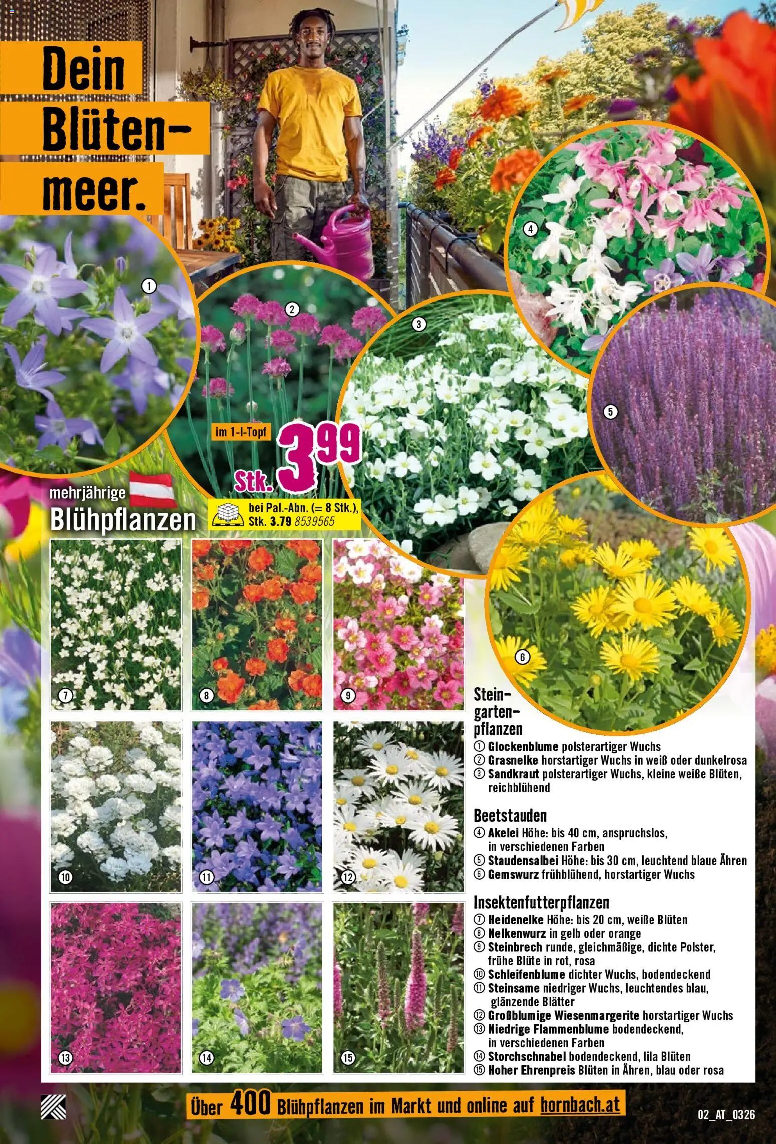 Hornbach Flugblatt gültig ab 17.03.2026 | Seite: 2