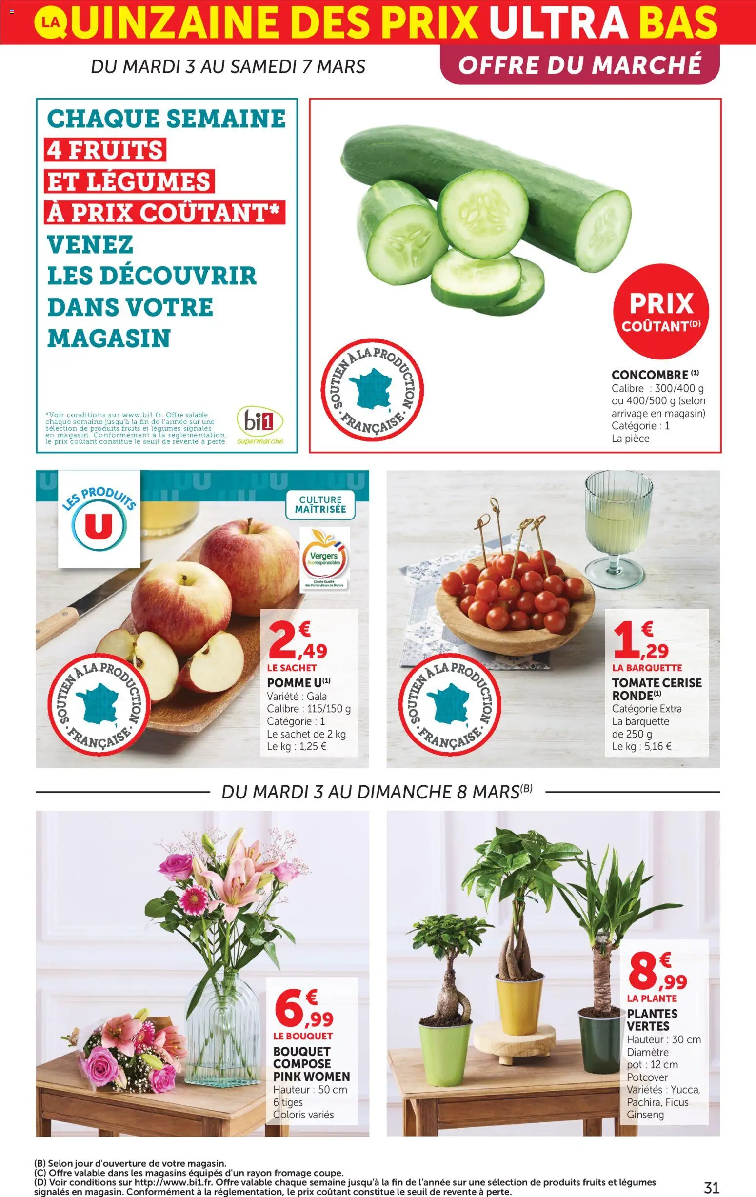 {H1} | Page: 31 | Produits: Concombre, Pomme, Plantes, Tomate cerise