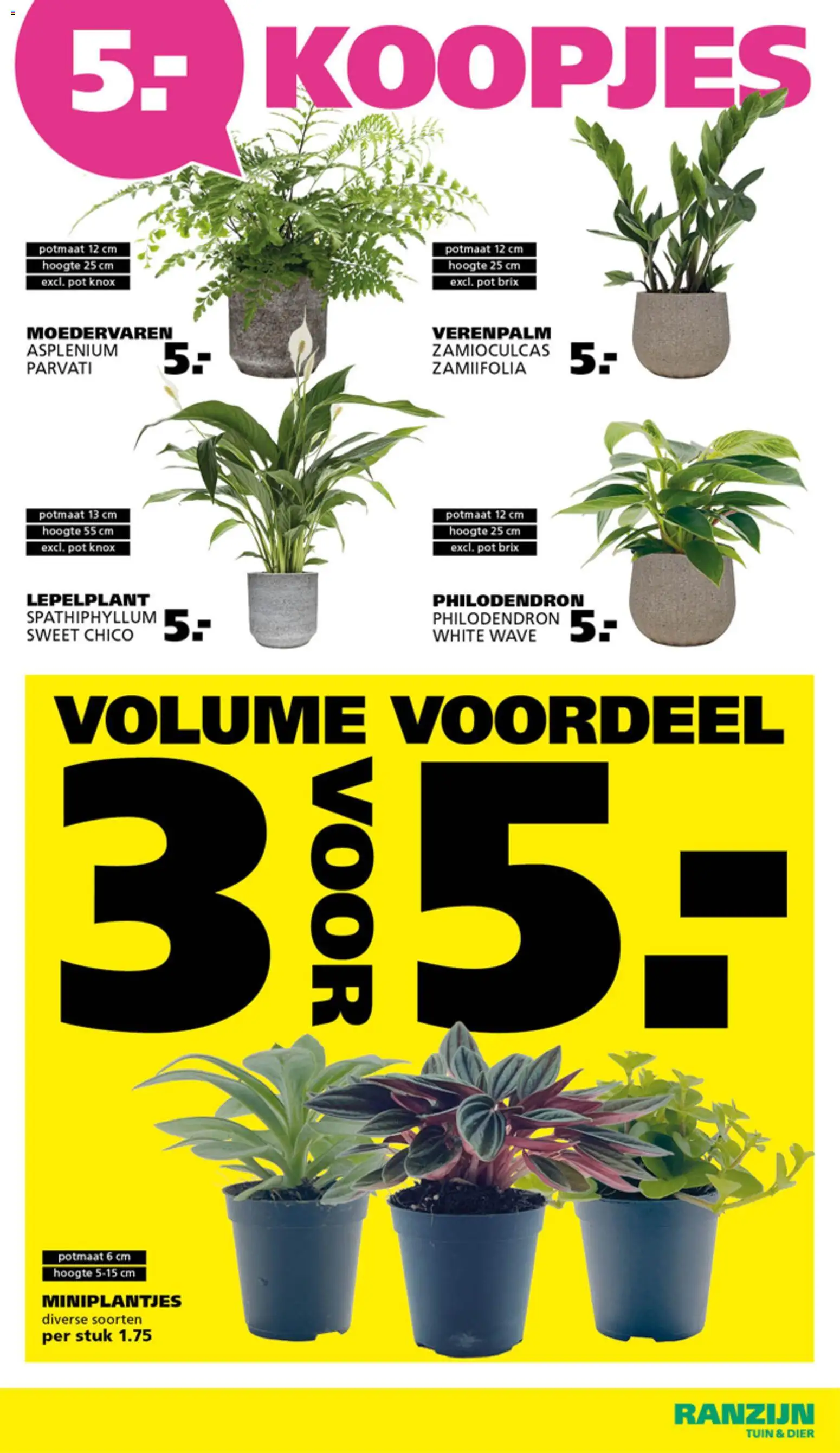 {H1} | Pagina: 4 | Producten: Pot