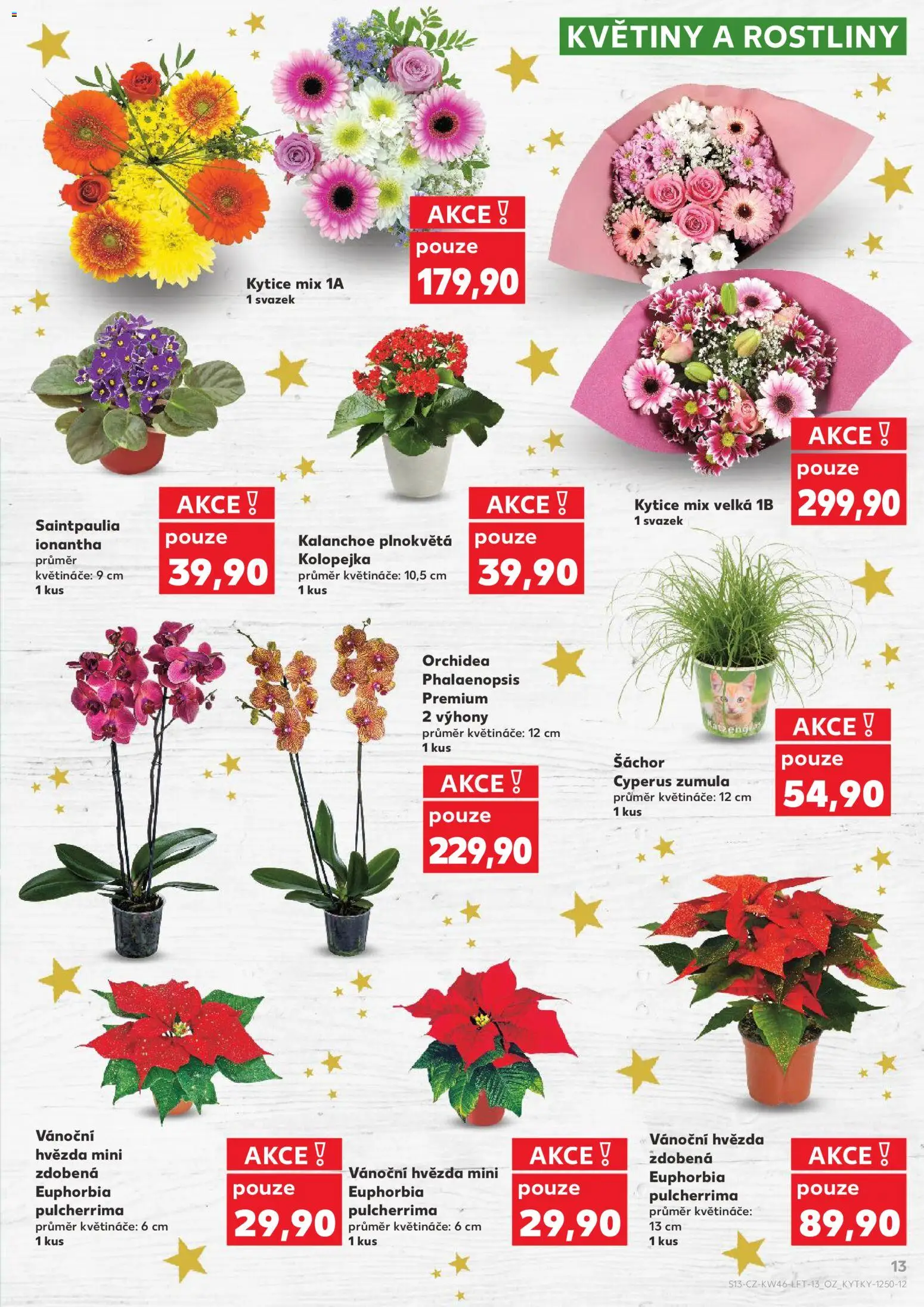 Kaufland leták - Plzeň od 12.11.2025 | Strana: 13 | Produkty: Kalanchoe, Rostliny, Kytice, Květiny