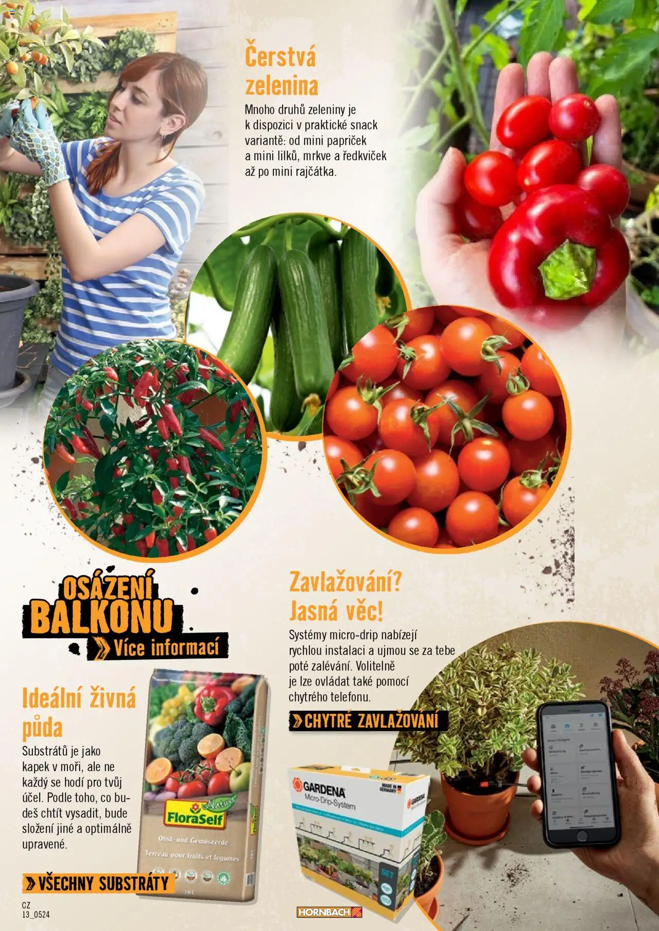 HORNBACH leták - Balkón od 13.08.2025 | Strana: 13 | Produkty: Zelenina