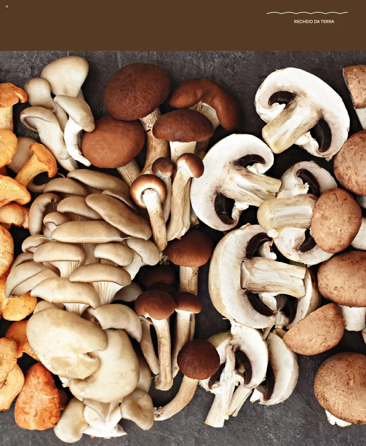 Recheio - Recheio da Terra │ válido de 25.09.2025 | Página: 16