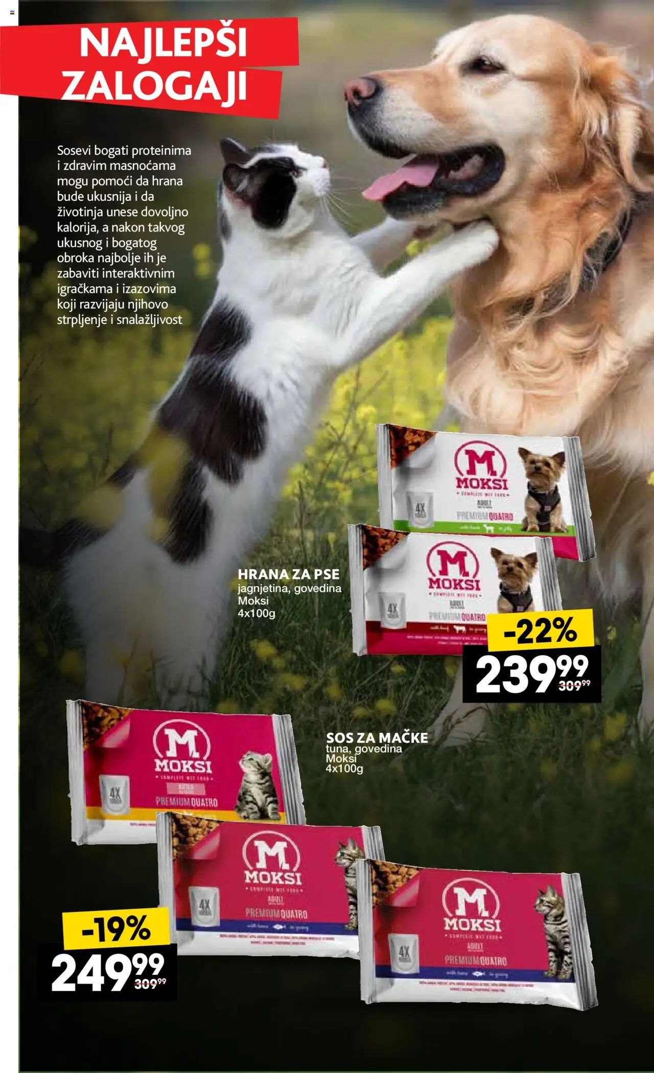 Roda katalog - važi od 02.10.2025 | Strana: 34 | Proizvode: Govedina, Hrana za pse, Sos