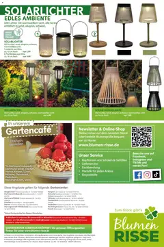Blumen Risse Prospekt 	 ab 16.04.2026 gültig | Seite: 16