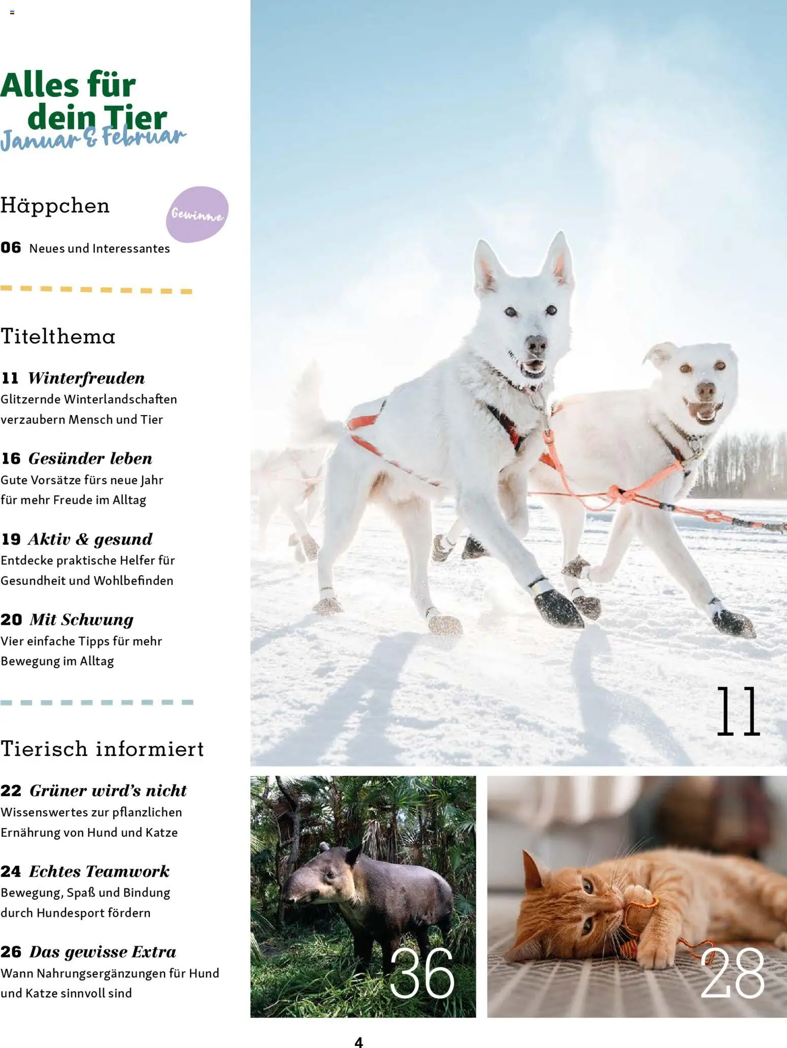 Fressnapf Friends Magazin – gültig ab 01.01.2026 | Seite: 4