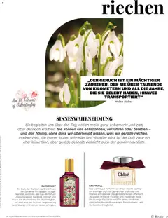 Müller Magazin ab 15.01.2026 gültig | Seite: 21 | Produkte: Eau de Parfum, Parfüm, Duft, Bilder