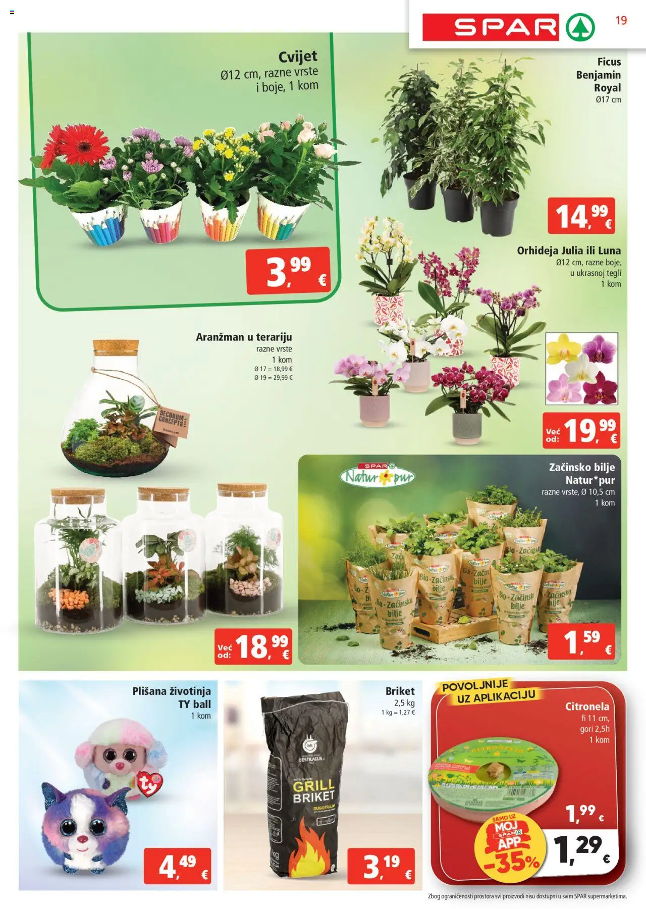 Spar katalog | vrijedi od 13.08.2025 | Stranica: 19 | Proizvodi: Orhideja, Grill briket