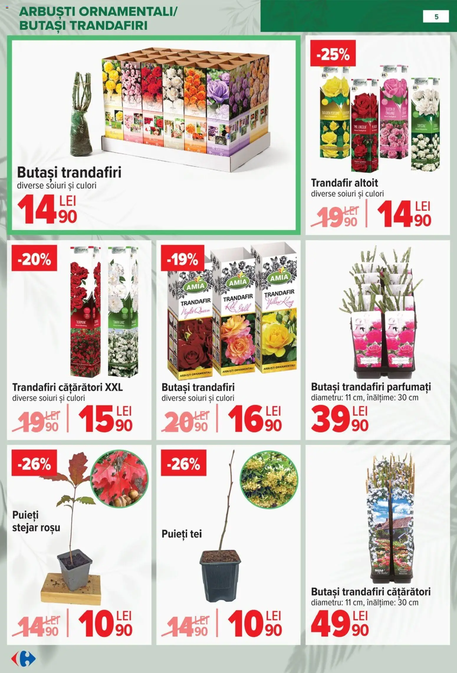 Noul catalog Carrefour – valabil de la 11.02.2026 | Pagină: 5 | Produse: Trandafir