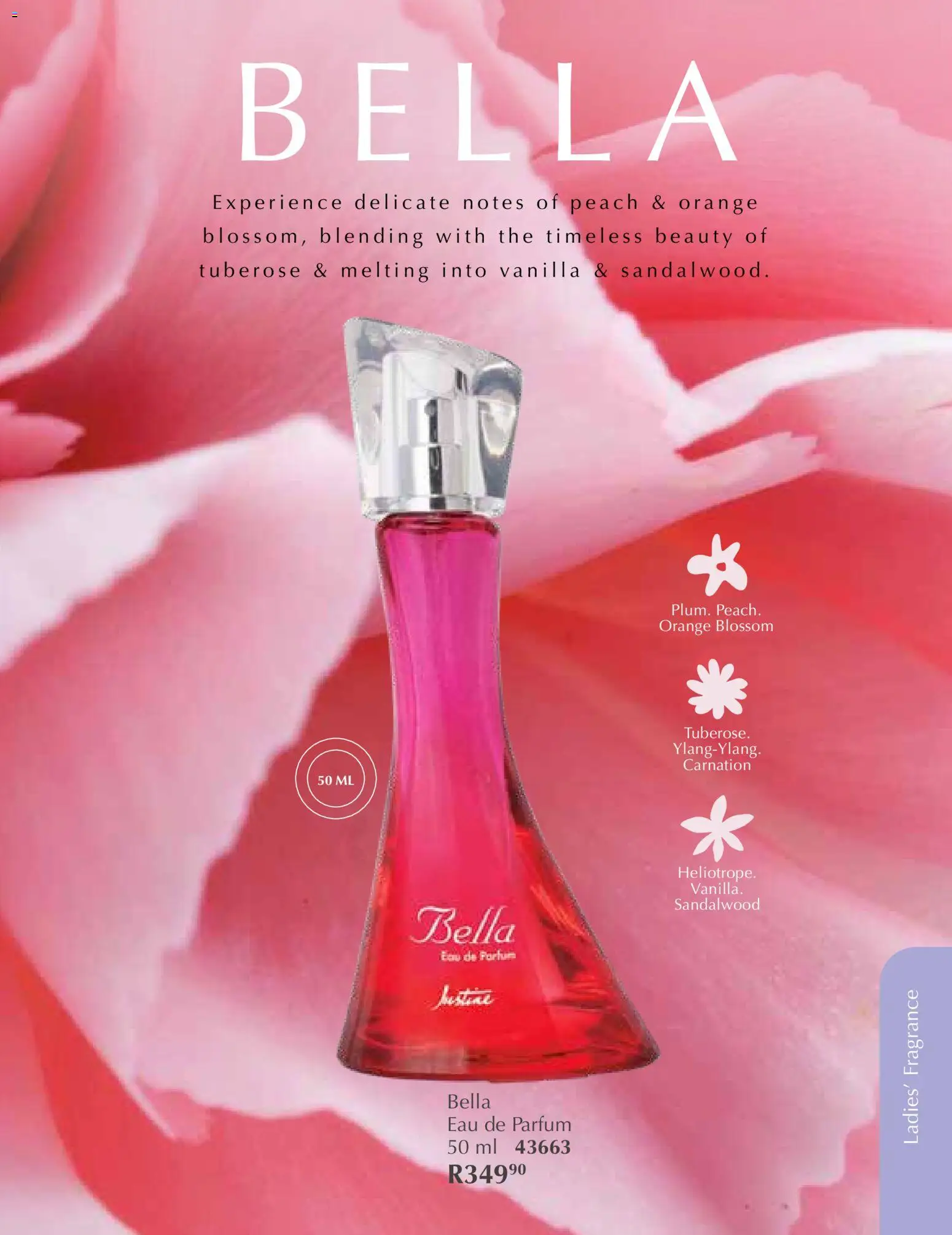 New Justine catalogue – valid from 01.01.2026 | Page: 56