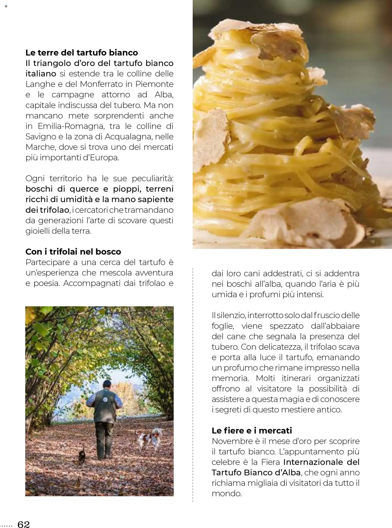 Volantino Gulliver del 31.10.2025 | Pagina: 62 | Prodotti: Tartufo, Profumo