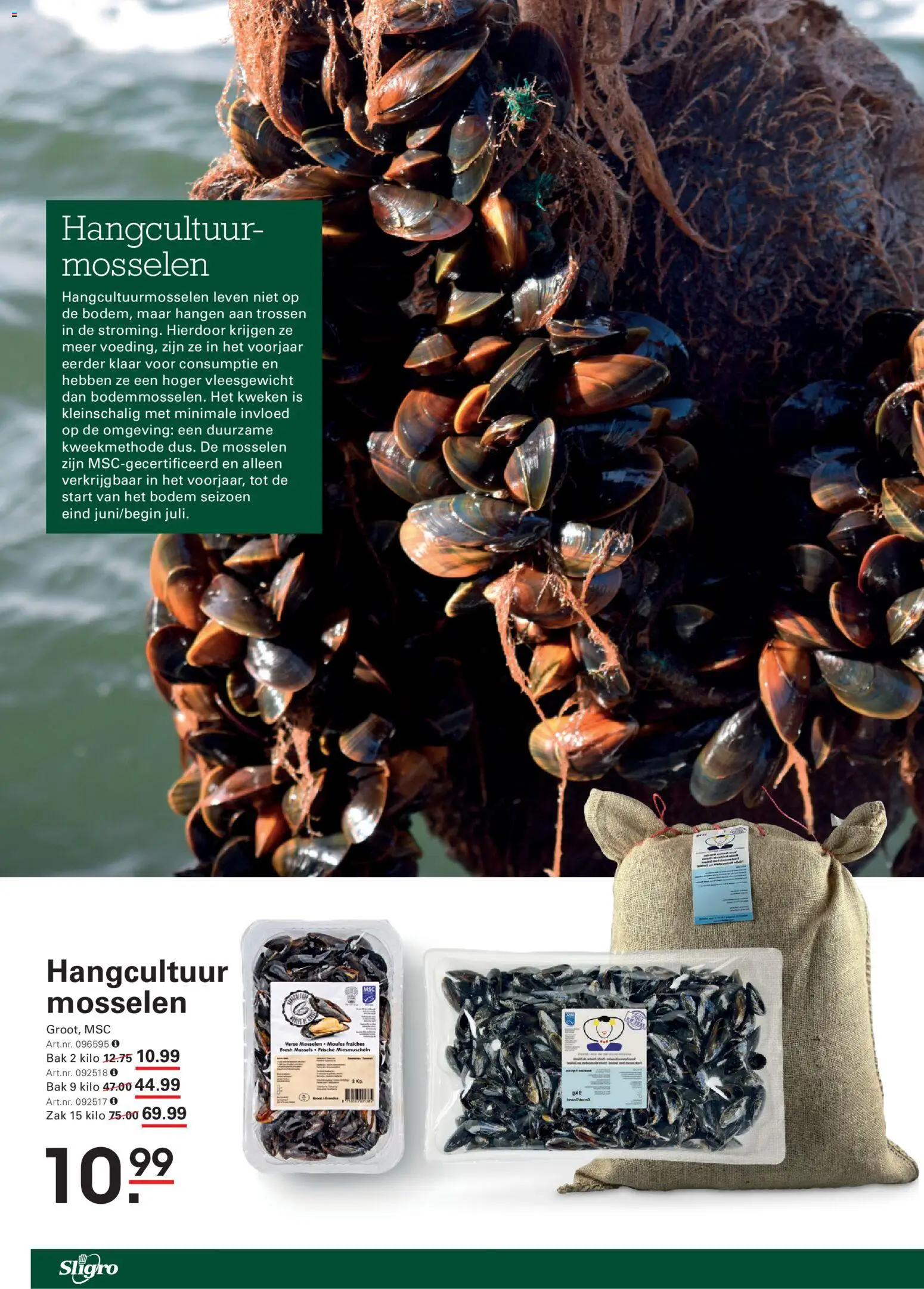 {H1} | Pagina: 2 | Producten: Mosselen, Zak