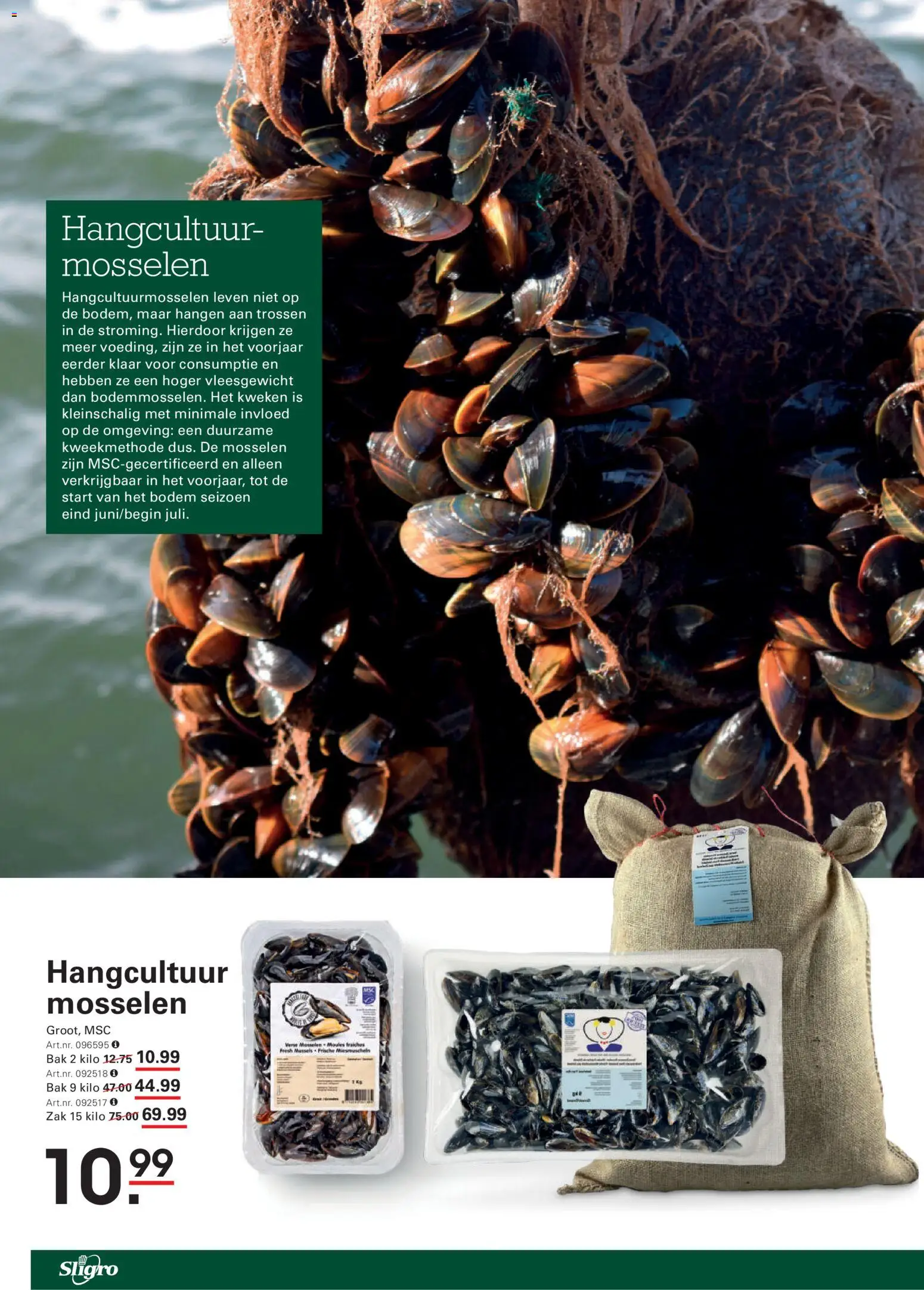 {H1} | Pagina: 2 | Producten: Mosselen, Zak