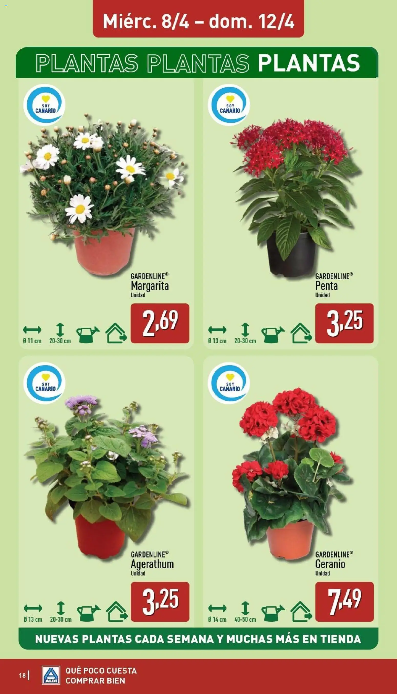 Aldi folleto Canarias │ válido desde el 06.04.2026 | Página: 18