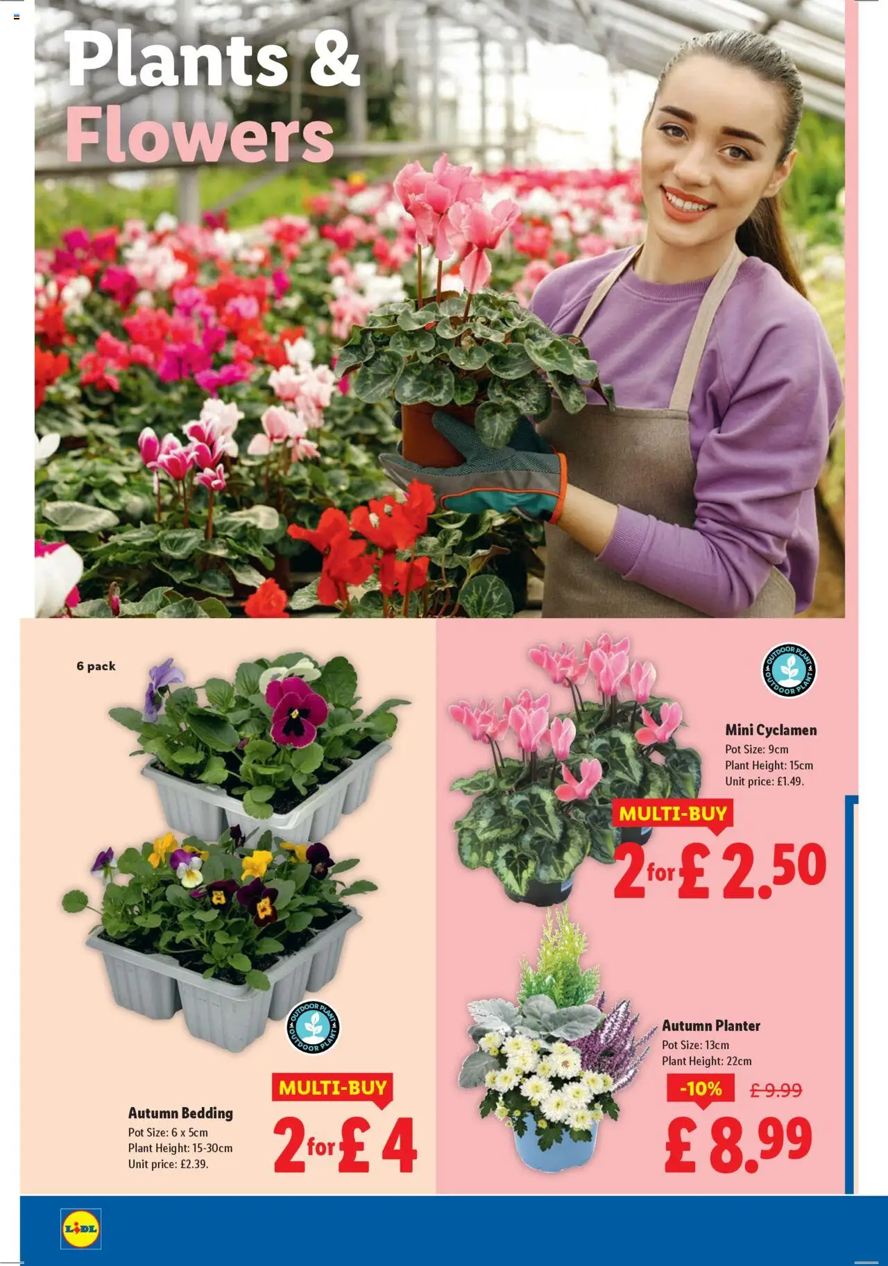 {H1} | Page: 22 | Products: Pot, Planter, Door