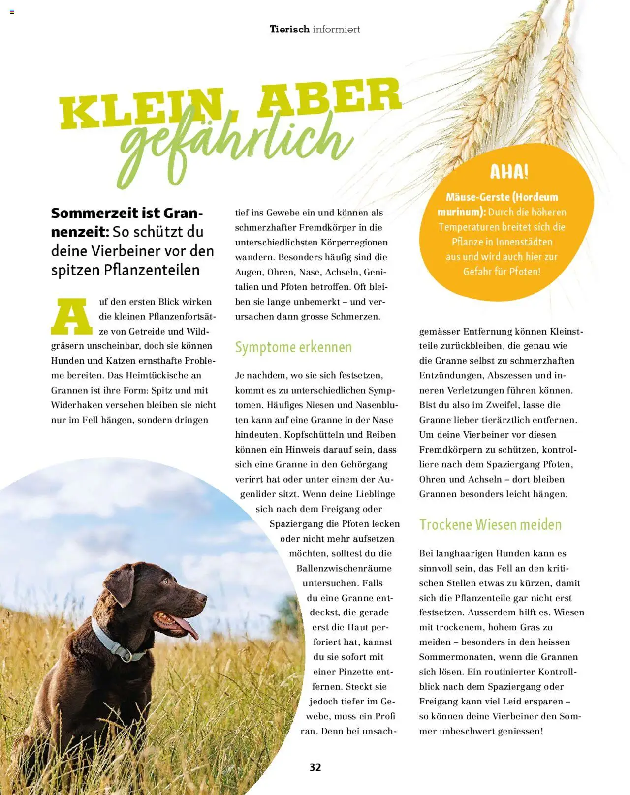 Fressnapf Magazin ab 01.07.2025 | Seite: 32 | Produkte: Pinzette, Getreide