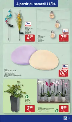 Aldi - Prévisualisation de Aldi - Catalogue de la semaine 15 valide à partir de 08.04.2026 | Page: 43 | Produits: Rosier, Orchidée, Lampe, Lampe solaire
