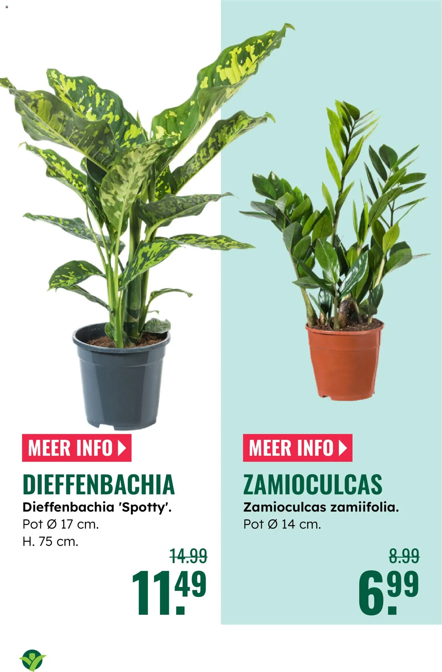 {H1} | Pagina: 10 | Producten: Pot